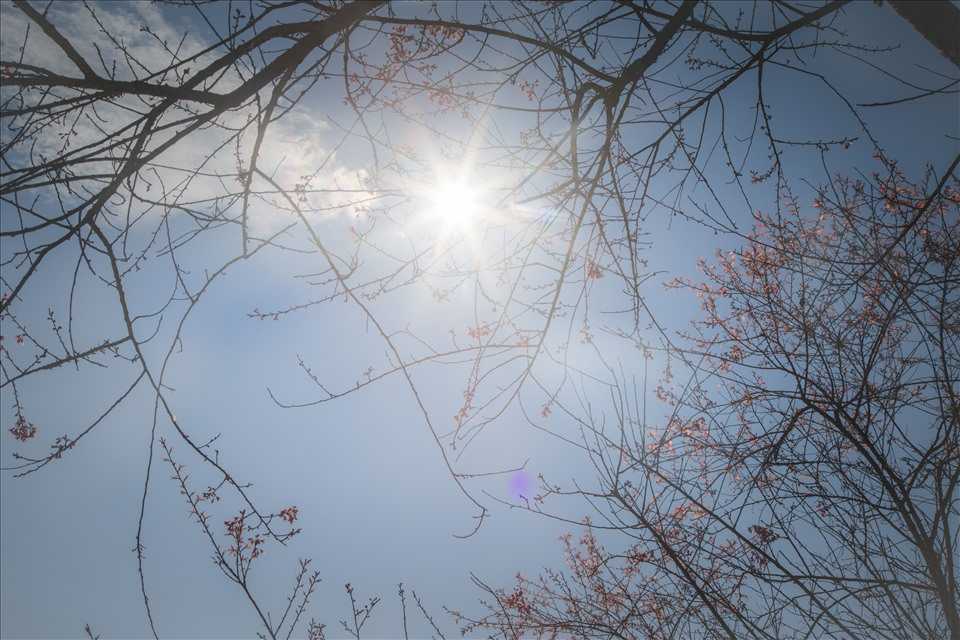 Những lý do nên đến Fansipan trong mùa du lịch đầu năm